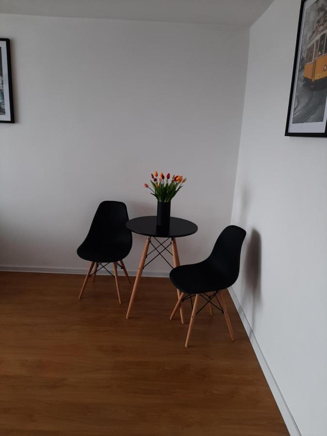 Kawalerka 28M Salon Z Kuchnia Centrum โนวิซอนช์ ภายนอก รูปภาพ