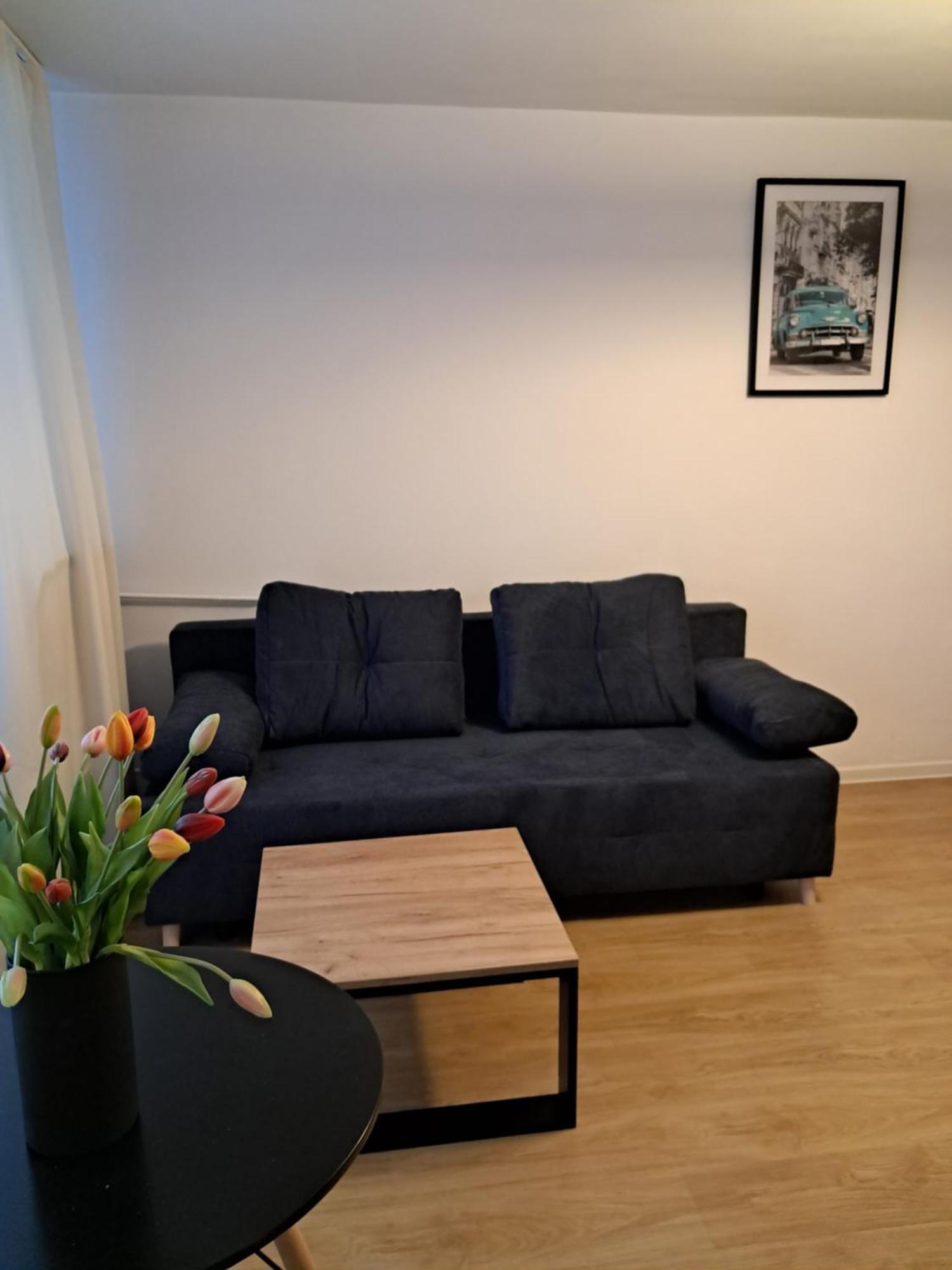 Kawalerka 28M Salon Z Kuchnia Centrum โนวิซอนช์ ภายนอก รูปภาพ